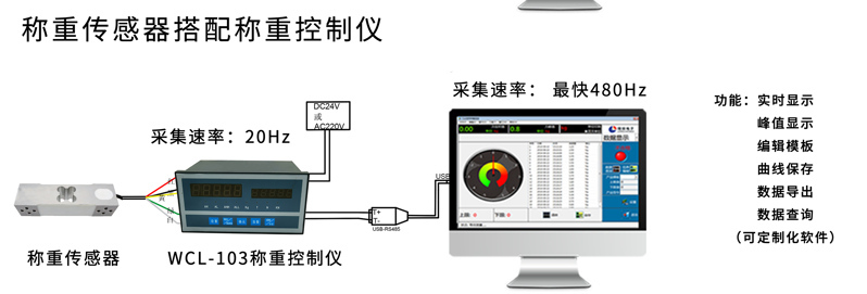 301L稱(chēng)重電腦端顯示_03 301L稱(chēng)重電腦端顯示_03